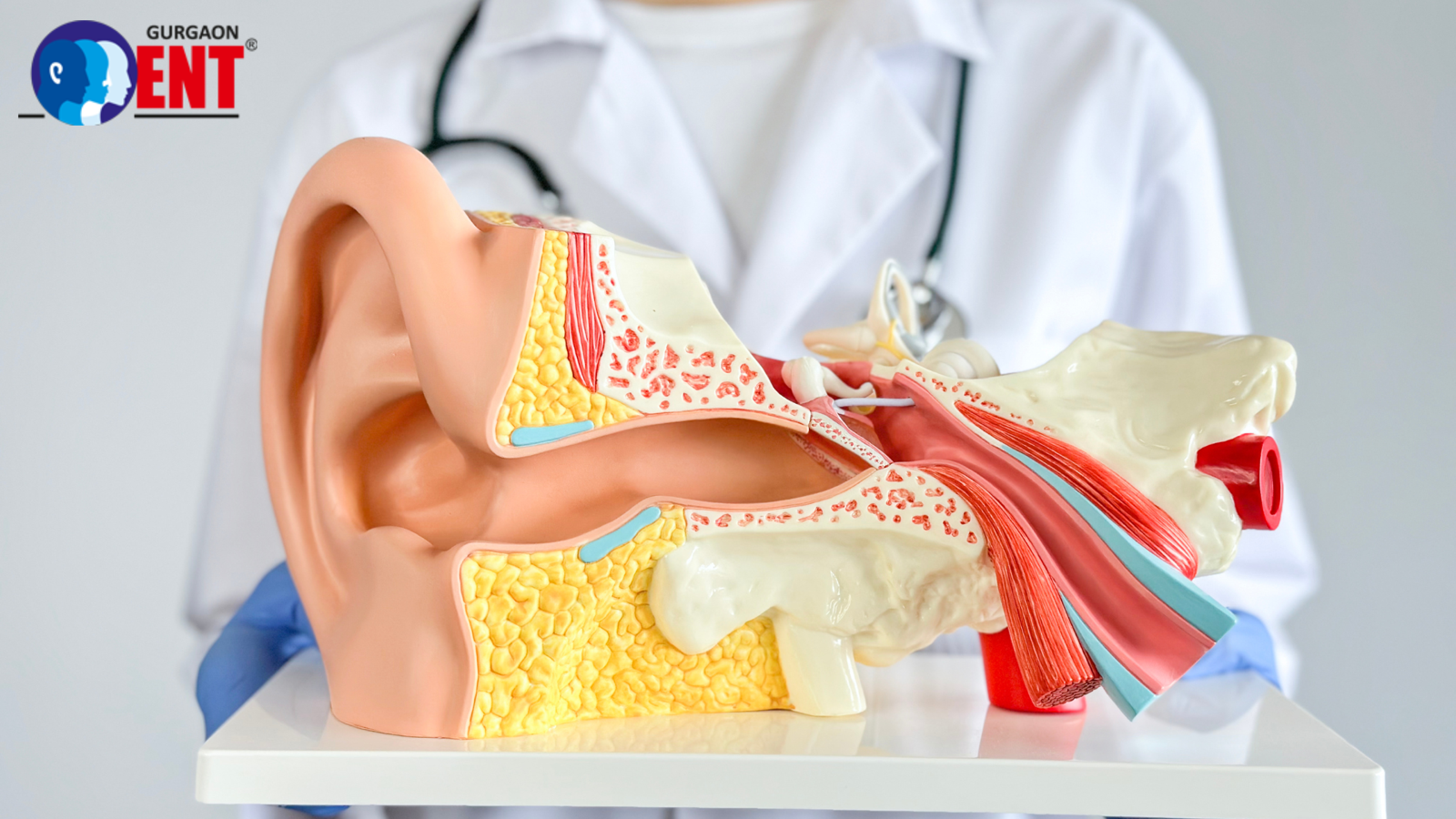 Common ENT Issues And When To Visit Top ENT Hospitals In Gurgaon
